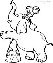 Elephant 15